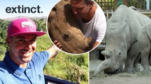 凯文·皮尔森(Kevin Pietersen):犀牛不会灭绝，不会在我的时间里
