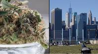 纽约通过大麻合法化法案