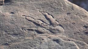 恐龙脚印在威尔士海滩发现了四岁的女孩