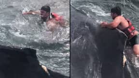视频显示渔夫营救座头鲸被困在渔网中