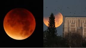 壮观的血红月亮下个月即将到来是世界末日的地点'