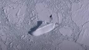 谷歌地球用户在南极洲发现400英尺“冰船”