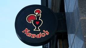Nando正在乘坐一家名为Fernando的餐厅，用于侵权版权