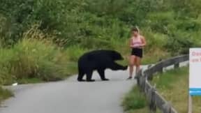 在与黑熊密切遭遇期间，赛跑者难以置信平静