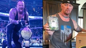 WWE的承办人揭示了退休声称中的身体转型