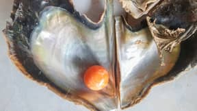 渔夫找到罕见的橙色珍珠价值高达250,000英镑