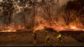 加州经历了毁灭性的野火，消防部门正在与大火搏斗