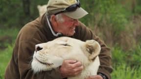 保护主义者被他的两个心爱的白色狮子殴打