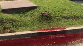 血液渗透到路易斯安那省殡仪馆外面的路面上