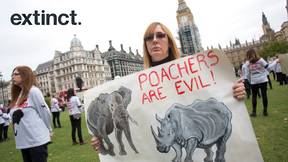 英国政府出台“世界上最严厉”的象牙销售禁令之一