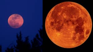 血红色的月亮“将带来世界末日”