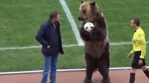 俄罗斯足球联盟被批评为熊在比赛之前被带出来