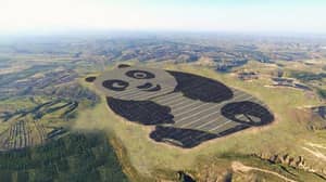 中国建造了一个像熊猫一样的太阳能发电厂