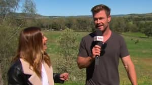 Chris Hemsworth中断天气预报并读出预测