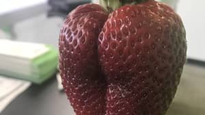 这是你所看到的最性感的草莓