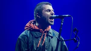 利亚姆·加拉格尔（Liam Gallagher）声称德国警察用钳子拔出牙齿