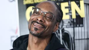 Snoop Dogg正在释放摇篮曲相册，适应他最伟大的婴儿