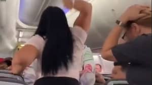 女人用笔记本电脑在飞机上拍摄了粉碎的伙伴