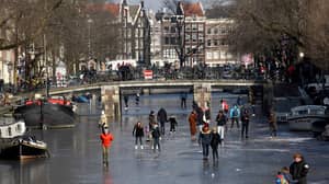 荷兰运河发现翠鸟冻成固体，欧洲不怕寒冷