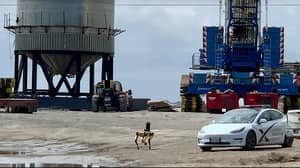 机器狗在检查SpaceX公司的残骸，让人们想起了《黑镜》