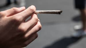 南非对私人场所的成人使用了合法的大麻