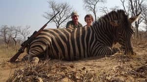 在奖杯狩猎体验中，动物“繁殖被杀死”少许170英镑