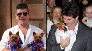Simon Cowell捐赠了25,000英镑的抗狗肉类慈善机构