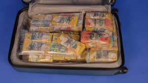 AFP正在寻找手提箱的所有者，里面有160万美元的现金
