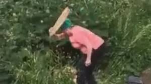 生气的女人在捉住灌木丛中发生性关系后与木板打屁股