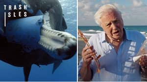 在“人类历史上最大的威胁”下的海洋，警告David Attenborough爵士