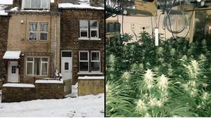警察在注意到没有雪的屋顶后发现了80,000英镑的大麻农场
