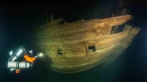 在波罗的海的近乎完美的条件下发现了神秘的沉船船