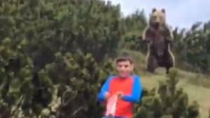 男孩的令人难以置信的反应表明，在被熊被绑架时要做什么