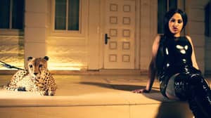 Cardi B的视频素材几乎被Cheetah攻击在音乐视频中
