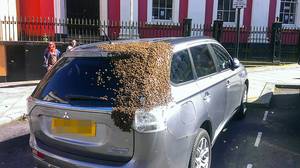 2万只蜜蜂追逐这辆英国车两天