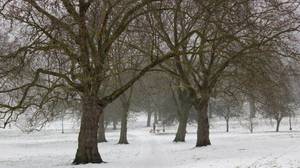 在英国最糟糕的雪之后，数千人有资格获得电费
