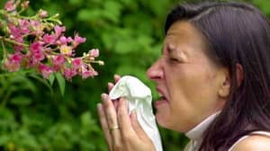花粉热患者要求凡士林是一种奇迹“治愈”