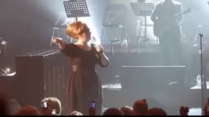 视频显示，阿黛尔（Adele）在她的一位粉丝晕倒后停止演出
