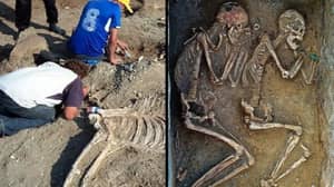 5000年前的“罗密欧与朱丽叶”夫妇被发现埋在“战车”里