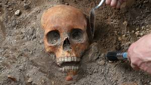 考古挖掘中发现的中世纪人类的遗骸