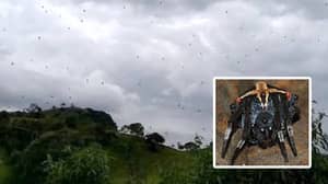 成千上万的蜘蛛似乎在巴西的“天空中雨”