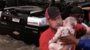 英雄从洪水推翻的汽车救援两辆幼儿
