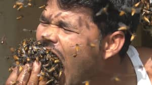 印度蜂蜜收藏家的蜜蜂无缘无故地在他的嘴里