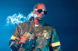 Snoop Dogg刚刚用帕特里克斯图尔特在英国杂草公司中投入了1000万美元