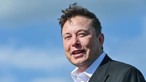 Elon Musk为他的儿子xæa-xii买了一些dogecoin