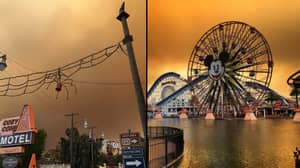 大火肆虐加州迪士尼乐园