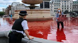 动物权利保护者将特拉法加广场的喷泉变成了血红色