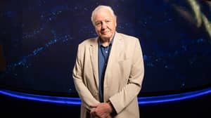 David Attenborough爵士休息了Instagram用户的记录，以达到最快的粉丝