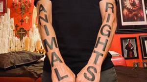 歌手莫比(Moby)的“动物权利”纹身更加醒目