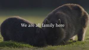 新的塔斯马尼亚旅游广告搞笑地说'我们都是家庭'